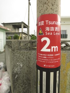 IMG_9568 (1)