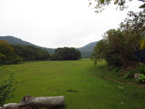 WETLANDS 2012 2