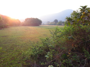 WETLANDS 2013 1